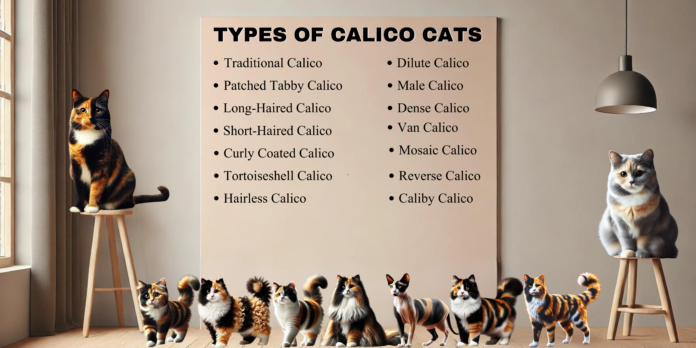 TYPES OF CALICO CATS